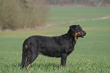 BEAUCERON 1025